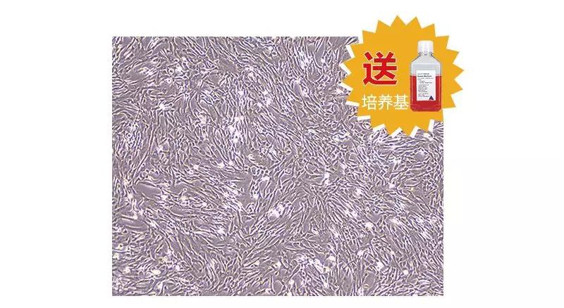 微信图片_20210915084630.jpg