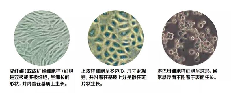 微信图片_20210913155232.jpg