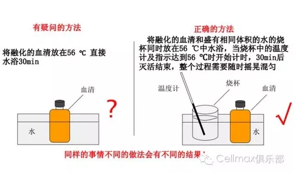 640.webp (2).jpg