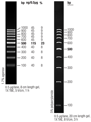 dna ladders 专题