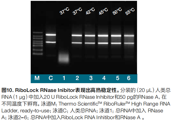 诺扬生物