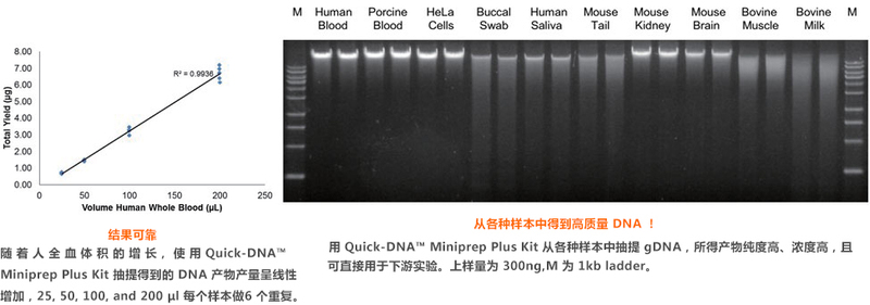 DNA提取纯化专题 - 诺扬生物