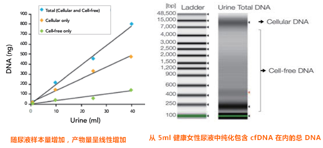 DNA提取纯化专题 - 诺扬生物