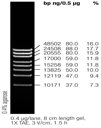 Thermo Scientific DNA Ladders(10bp-48502bp)专题 - 诺扬生物