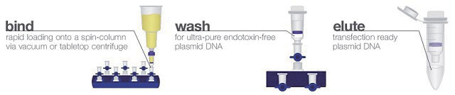 DNA提取纯化专题 - 诺扬生物